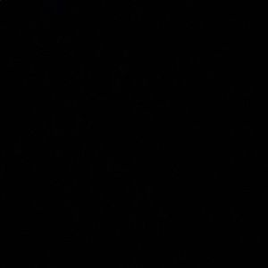 Meet your Posher, Elijah